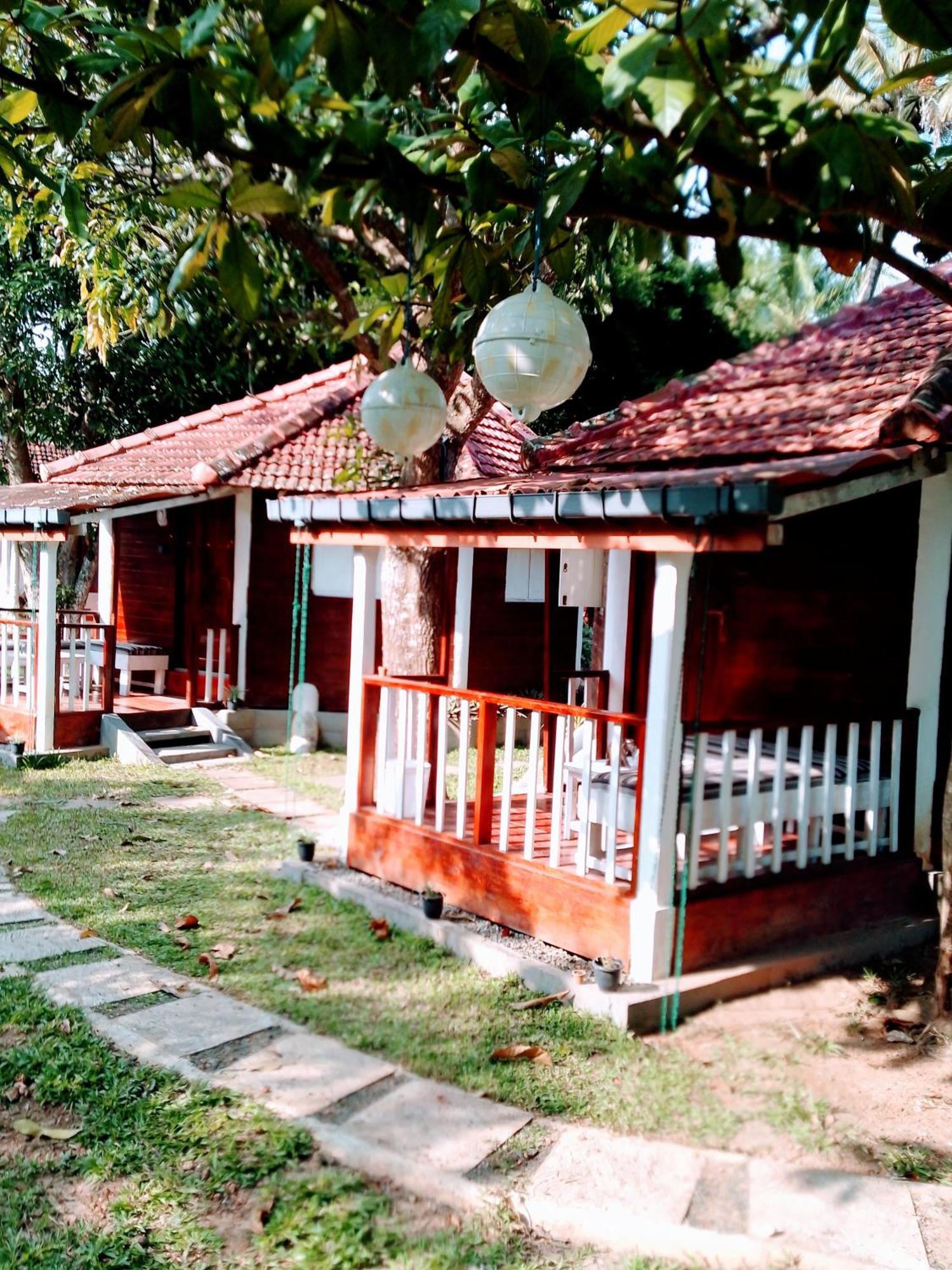 Area 51 Hotel Mirissa Ngoại thất bức ảnh