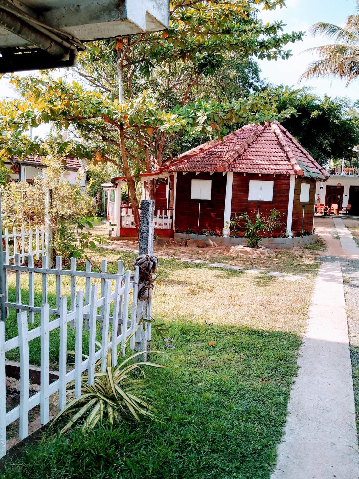 Area 51 Hotel Mirissa Ngoại thất bức ảnh