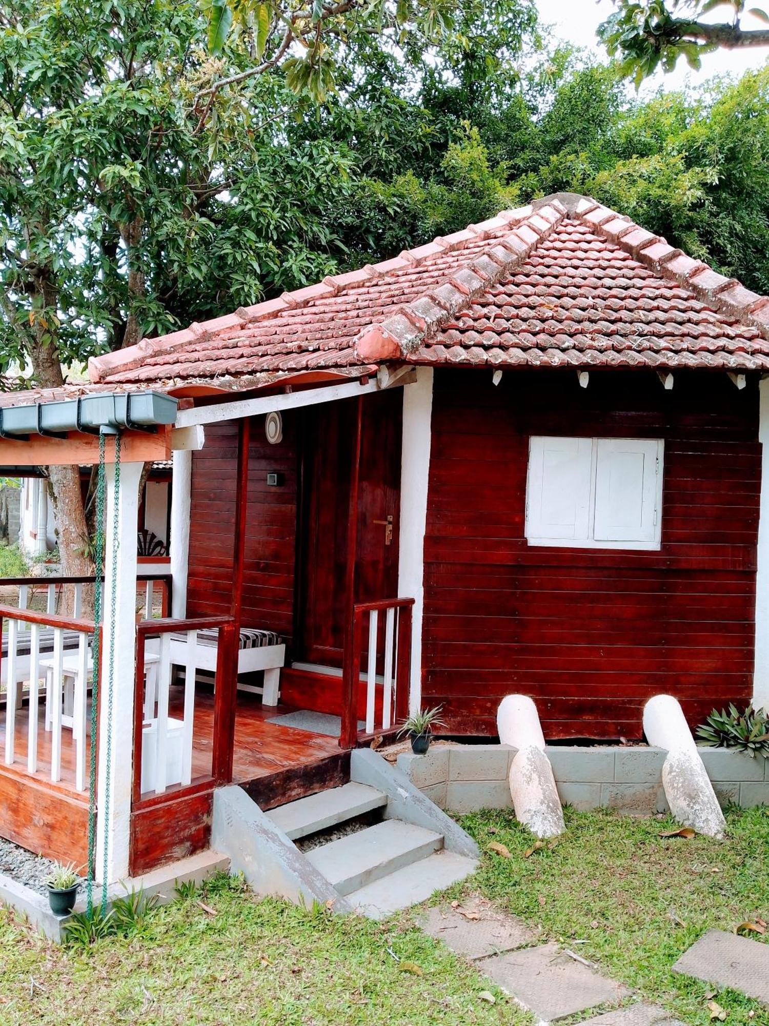 Area 51 Hotel Mirissa Ngoại thất bức ảnh